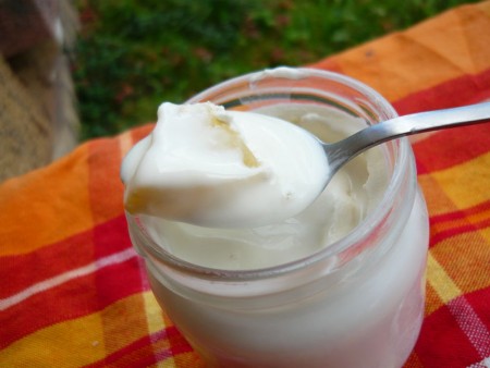 yaourt lait de coco